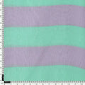 Green And Violet Stripes Digital Printed Fabric  - Pure Georgette – 0l2a7332copy