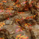 FAB VOGUE Studio Digital Printed Chiffon Fabric - Autumn Leaves – 70a4401copy2