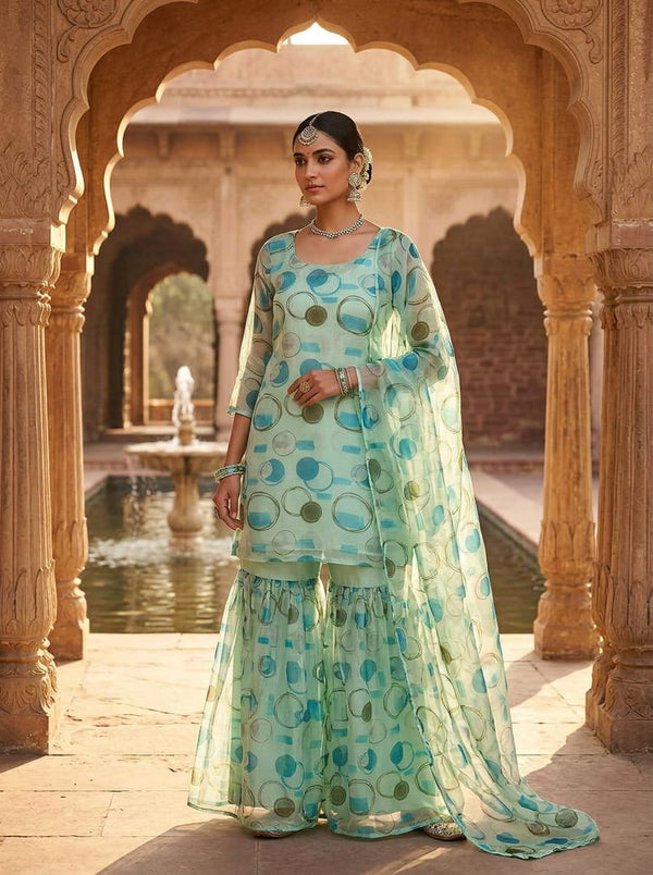 Green Abstract Painterly Circles Organza Digital Printed Fabric - Gharara Set Lookbook - OR-0-TA09352-110 - alternate view