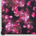 Gorgeous Black and Pink Ditsy Digital Printed Georgette Fabric – pog 0 ta08659 110 d