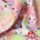 Multi-Color Floral Design Digital Printed Fabric – js 0 0ta06553 110 multi color floral design digital printed fabric 1