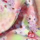 Multi-Color Floral Design Digital Printed Fabric – js 0 ta06553 110 multi color floral design digital printed fabric 1