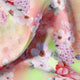 Multi-Color Floral Design Digital Printed Fabric – we 0 ta06553 110 multi color floral design digital printed fabric 1